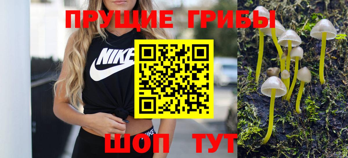 Псилоцибиновые грибы мухоморы  Вход с VPN  Благовещенск 